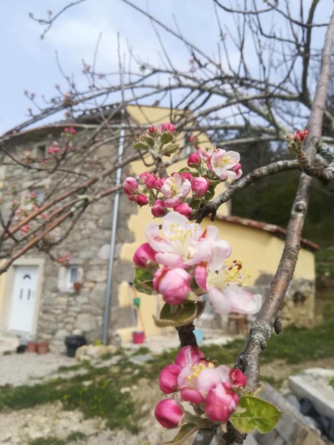Skalameri Kozljak Екстериор снимка